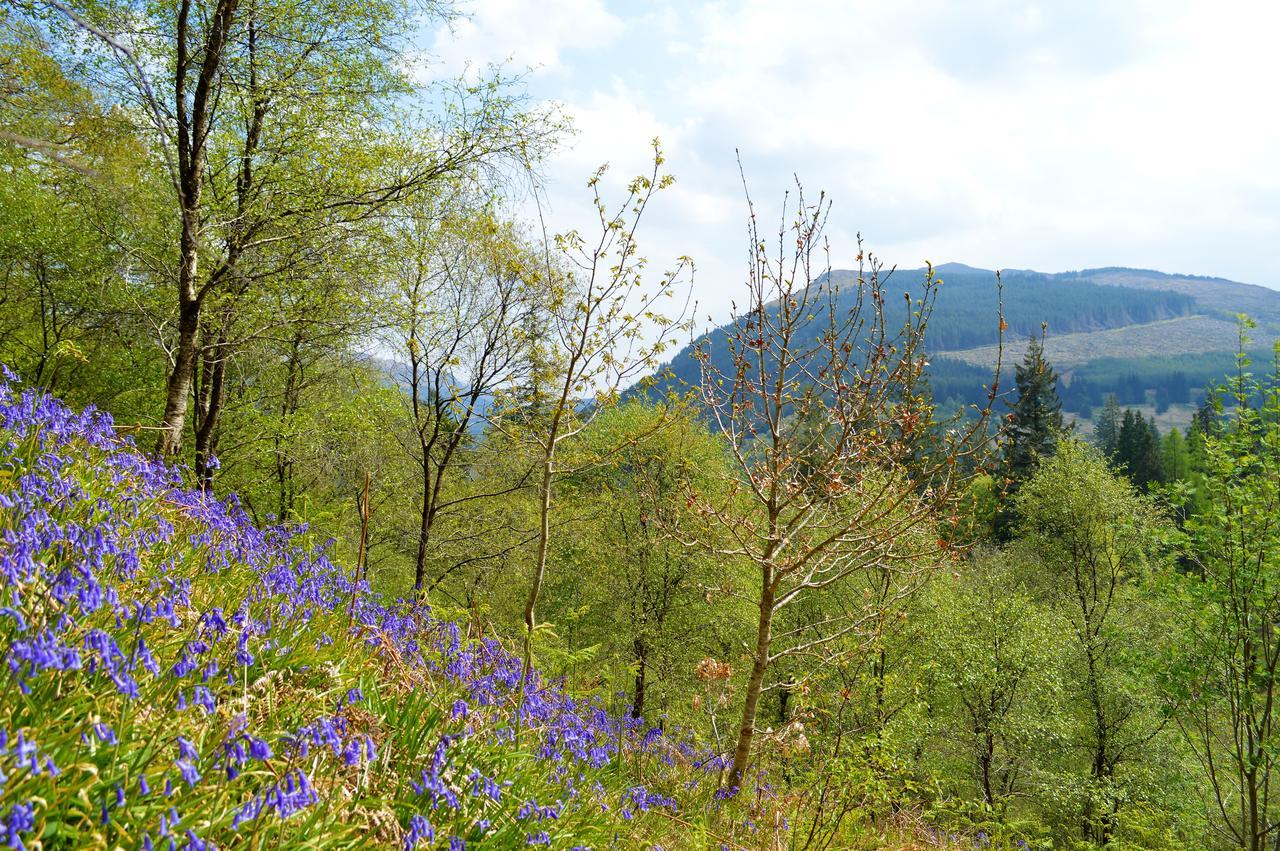 Glenbranter Cottage Strachur 外观 照片
